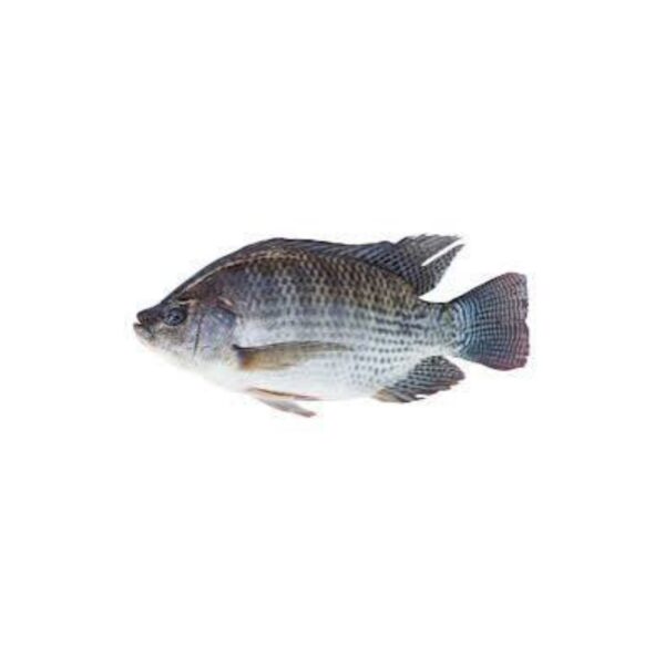 তেলাপিয়া মাছ(thelapi fish) 1kg